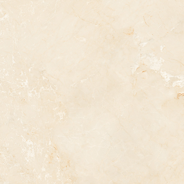 BAR-808013ID-21P