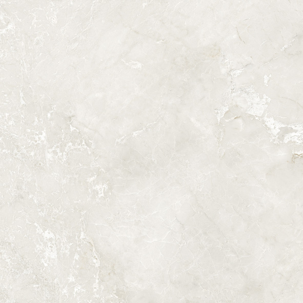 BAR-808013ID-22P
