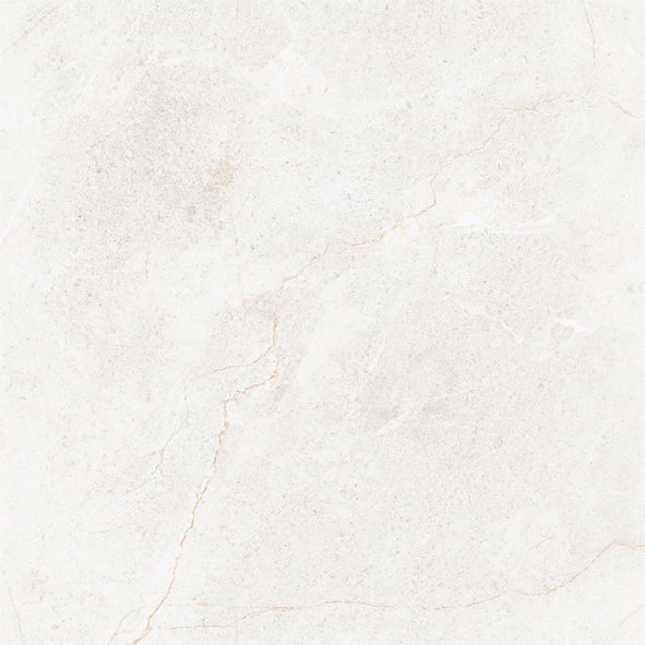 NOE-606013VN-45G