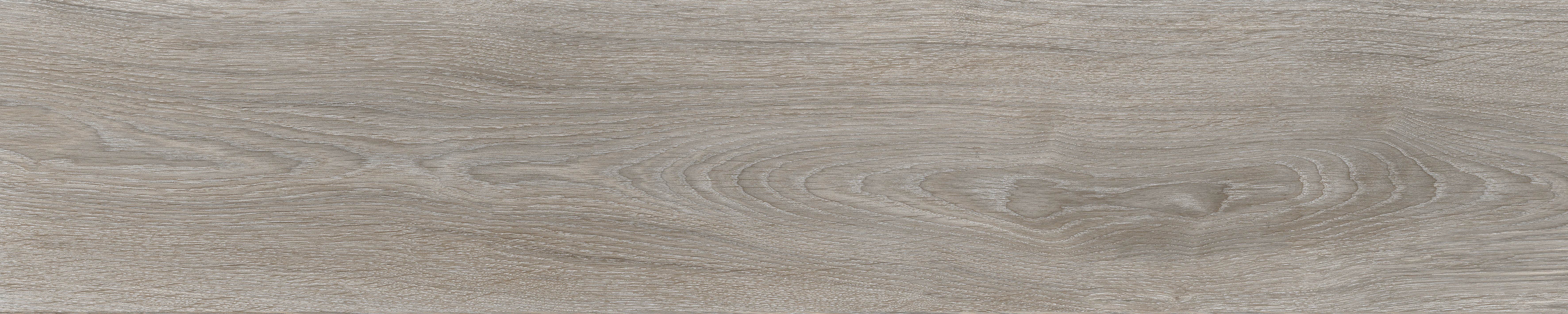RYN-159019SP-32M