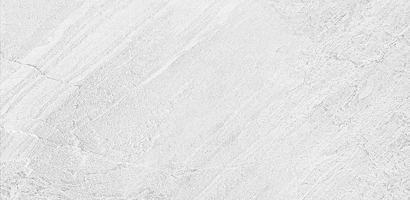 BIN-306019MY-01M