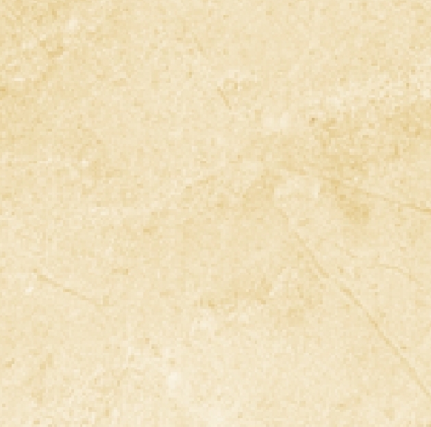 MRN-303006TW-11M