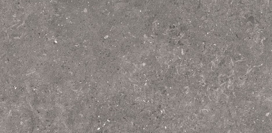 DNA-306001TW-94M